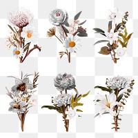Botanical flower png stickers, floral collage element set, transparent background
