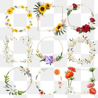 Botanical flower png frame stickers, floral collage element set, transparent background 