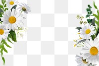 Aesthetic png botanical frame, floral design in transparent background