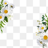 Png floral frame sticker , botanical design in transparent background 