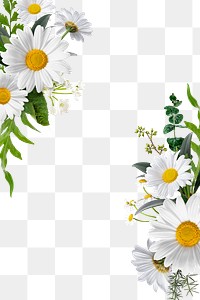 Aesthetic png botanical frame, floral design in transparent background