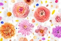 Floral pattern png, botanical, transparent background