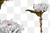 Png floral border sticker, botanical design in transparent background