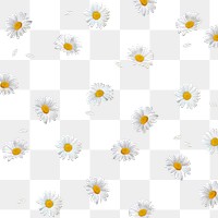 White flowers png background, transparent floral design