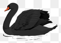 PNG black swan, bird illustration sticker, transparent background