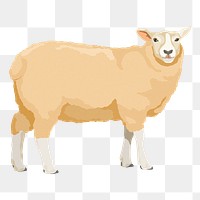 Sheep png illustration clipart, digital sticker, transparent background