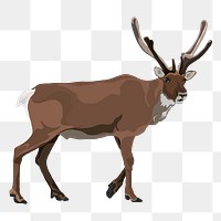 Elk png illustration clipart, wild animal sticker, transparent background