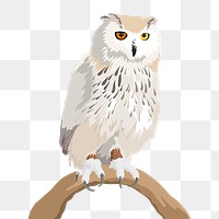 PNG owl illustration clipart cut out, sticker in transparent background