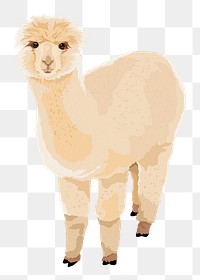 White alpaca png sticker, illustration clipart, transparent background