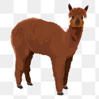 Brown alpaca png, illustration sticker, transparent background