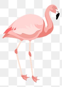 PNG pink flamingo illustration, animal clipart sticker, transparent background