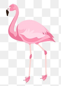 PNG pink flamingo illustration, animal sticker, transparent background