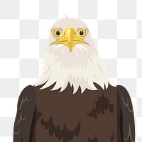 PNG bald eagle face illustration, bird sticker, USA symbol, transparent background