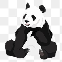 Panda png, chinese animal illustration sticker, transparent background