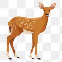 PNG chital sticker, spotted deer, wild animal illustration, transparent background