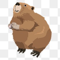 Beaver png illustration, cute animal sticker, transparent background