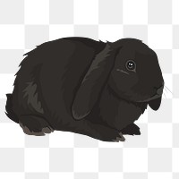 PNG pet bunny, black animal sticker, transparent background