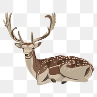 Wild deer png sitting illustration, wild animal illustration sticker, transparent background