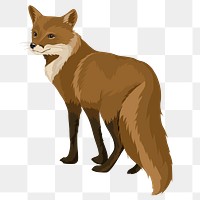 Fox illustration png sticker, transparent background