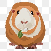 Guinea pig png eating, illustration sticker, transparent background