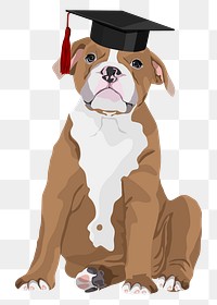 PNG smart bulldog sticker, education and graduation illustration, transparent background