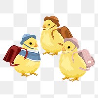 Baby chicks png illustration, kindergarten students sticker, transparent background