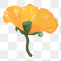 Yellow poppy png illustration sticker, transparent background