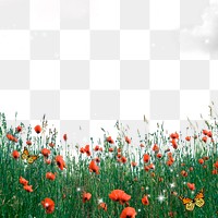 Flower field png border, red poppy, bling design on transparent background