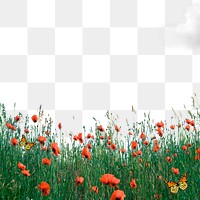 Flower field png border, red poppy transparent background