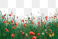 Flower field png border, red poppy, bling design on transparent background