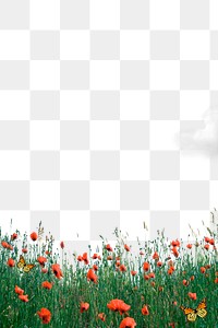 Flower field png border, red poppy transparent background