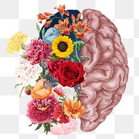 Beautiful mind png sticker, floral brain  transparent background