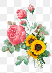 Rose flower png sticker,  sunflower transparent background