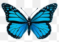 Blue butterfly png sticker, insect transparent background