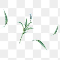 Blue flower png sticker, botanical transparent background