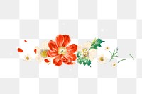 Png red flower divider sticker, botanical transparent background