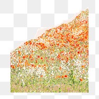 Flower field png sticker, ripped paper transparent background