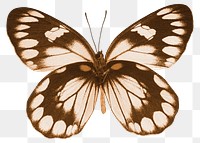 Brown butterfly png sticker, insect transparent background