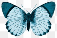 Blue butterfly png sticker, insect transparent background