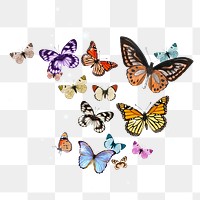 Png colorful freedom butterflies sticker, insect transparent background