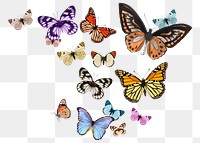 Png colorful freedom butterflies sticker, insect transparent background