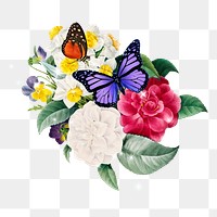 Aesthetic flower png sticker, botanical transparent background