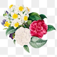 Flower bouquet png sticker, botanical transparent background