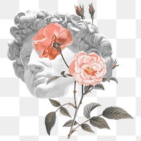 Png flora statue head sticker, sculpture transparent background