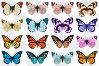 Butterflies set png sticker, insect transparent background