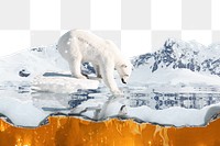 Polar bear png border, melting glacier, transparent background