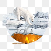 Png endangered polar bear sticker, climate change crisis, transparent background