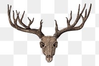 Deer skull png sticker, transparent background