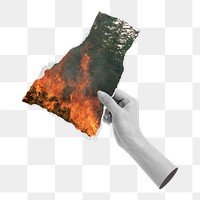 Forest fire png sticker, mixed media, transparent background