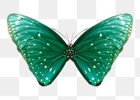 Butterfly png sticker, green illustration, transparent background